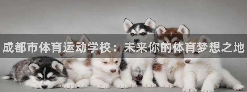 MK体育官网下载联系电话：成都市体育运动学校：未来你的体育梦