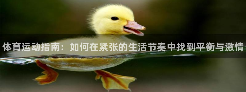 注册MK体育官方正版app：体育运动指南：如何在紧张