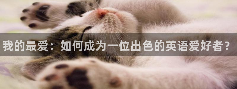 MK体育官网下载招商电话号码查询