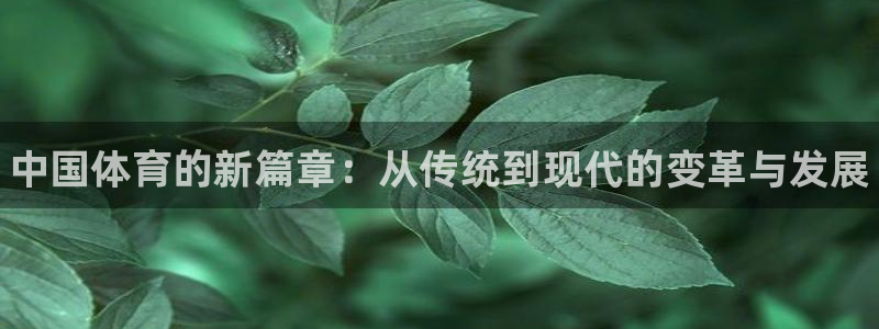 MK体育官方正版app集团官网首页网址：中国体育的新