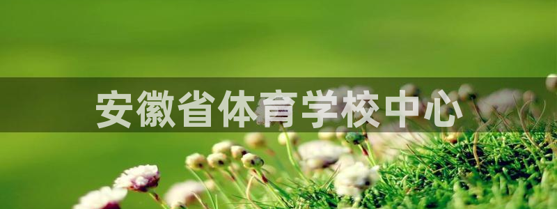 MK体育官方正版app娱乐网站：安徽省体育学校中心