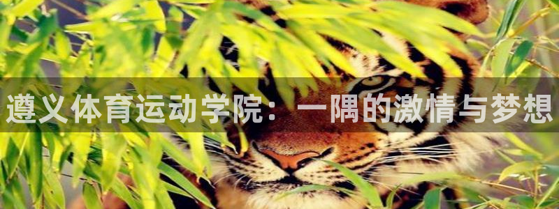 MK体育官网下载招商电话号码是多少号
