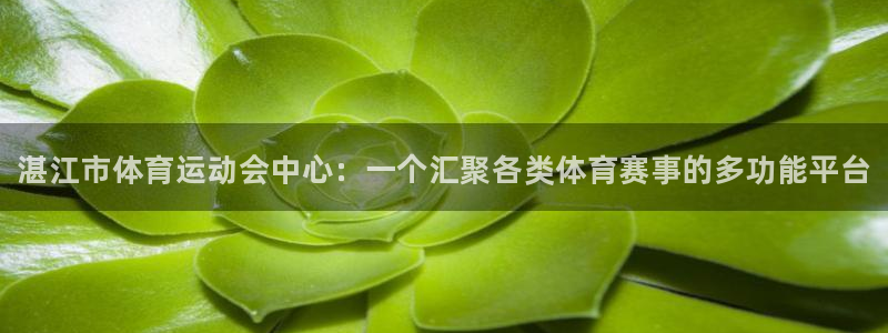 MK体育官网下载官方客服电话