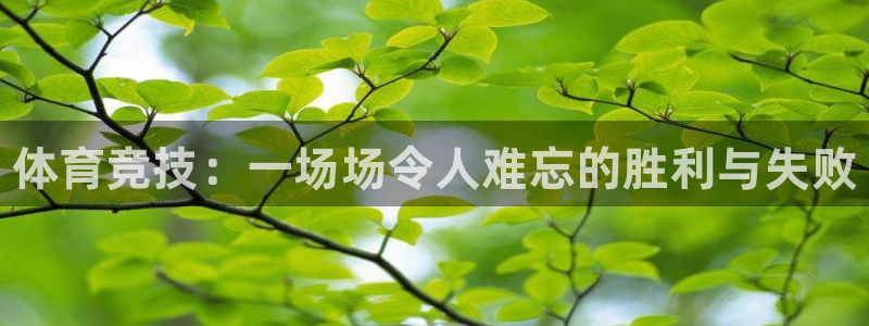 MK体育官网下载招商电话号码是多少：体育竞技：一场场令人难忘