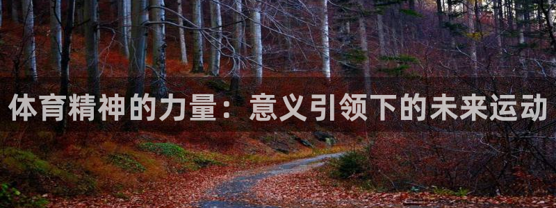 MK体育官网下载平台假的吗是真的吗：体育精神的力量：意义引领