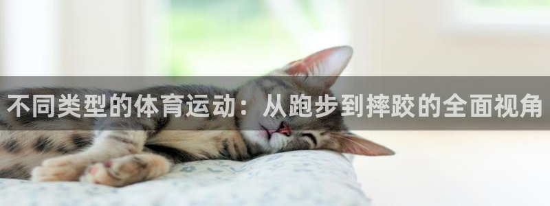 MK体育官网下载开户：不同类型的体育运动：从跑步到摔跤的全面