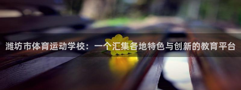 MK体育官网下载