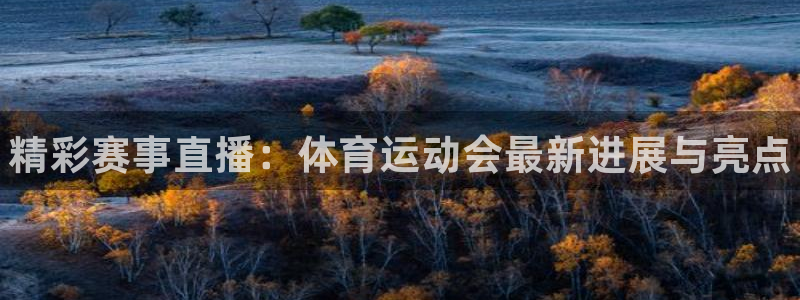 MK体育官网下载招商电话：精彩赛事直播：体育运动会最