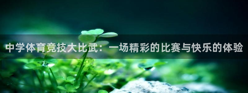 海南MK体育官网下载发展怎么样：中学体育竞技大比武：