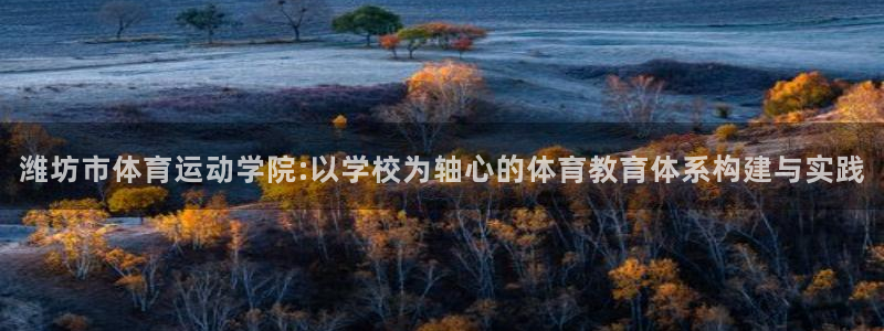 MK体育官网下载平台是正规平台吗安全吗：潍坊市体育运动学院: