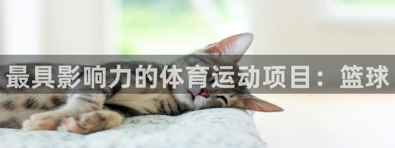 MK体育官方正版app官网：最具影响力的体育运动项目