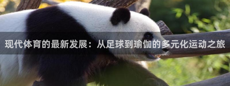 MK体育官网下载：现代体育的最新发展：从足球到瑜伽的