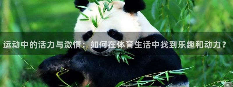 MK体育官方正版app集团官网网址：运动中的活力与激