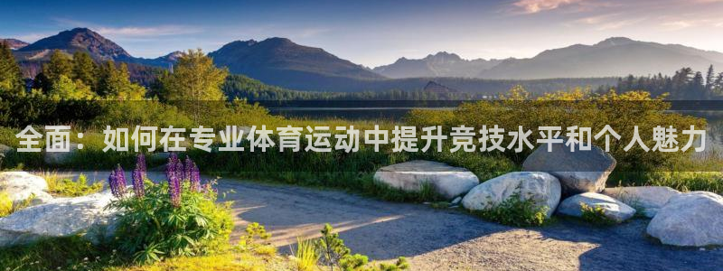 MK体育官网下载招商电话号码查询：全面：如何在专业体