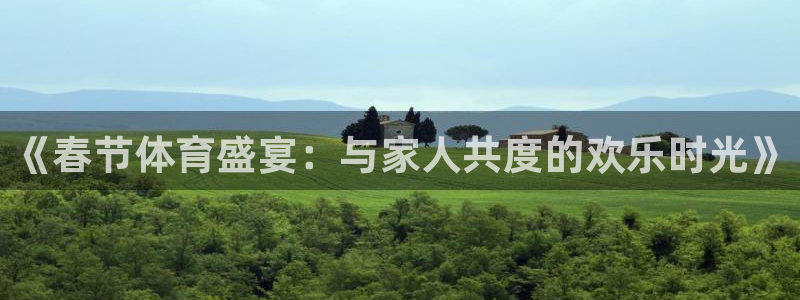 MK体育官方正版app集团E.ON：《春节体育盛宴：与家人共