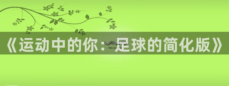 注册MK体育官方正版app：《运动中的你：足球的简化
