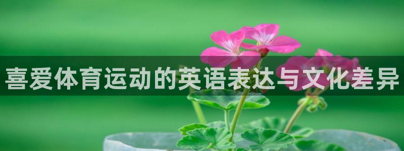 MK体育官方正版app神州：喜爱体育运动的英语表达与