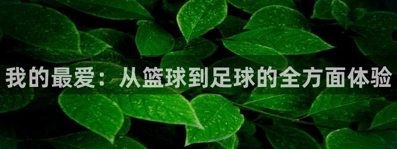 MK体育官方正版app集团官网网址：我的最爱：从篮球