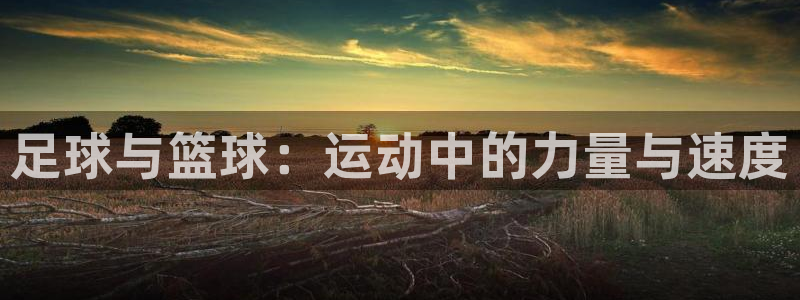 MK体育官网下载平台是正规平台吗：足球与篮球：运动中
