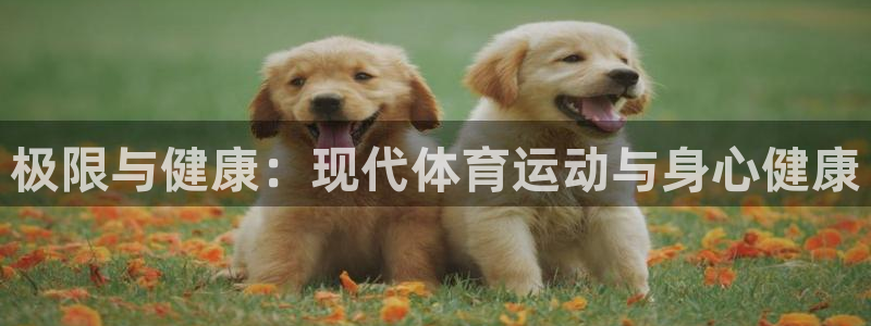海南MK体育官网下载发展怎么样：极限与健康：现代体育运动与身