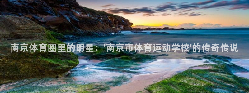 MK体育官方正版app娱乐代理怎么样：南京体育圈里的明星：\
