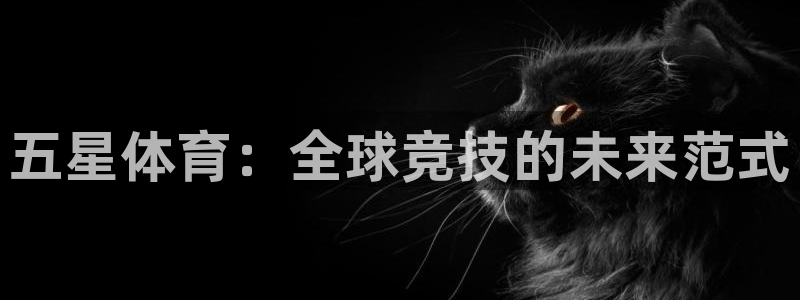 MK体育官网下载平台注册流程视频：五星体育：全球竞技的未来范