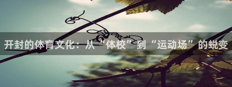 MK体育官网下载招商电话是多少：开封的体育文化：从“