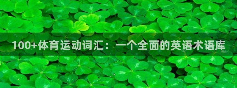 MK体育官网下载平台注册：100+体育运动词汇：一个全面的英