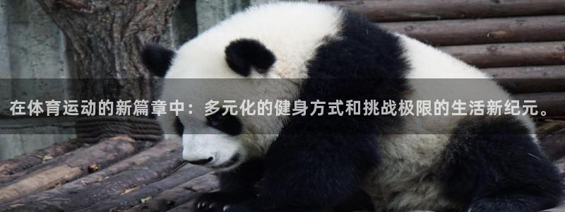 MK体育官方集团官网