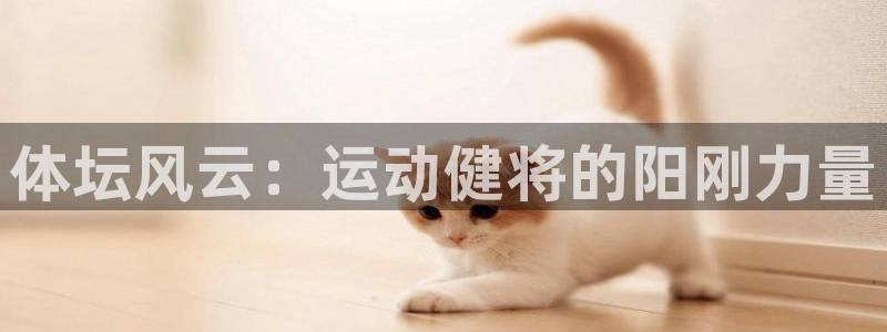 MK体育官网下载联系电话