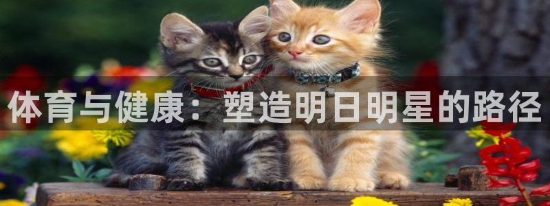 MK体育官方正版app娱乐首页官网下载：体育与健康：塑造明日