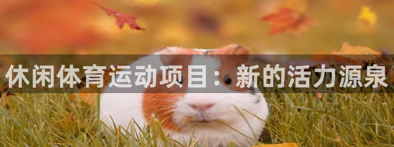 MK体育官方正版app神州：休闲体育运动项目：新的活力源泉