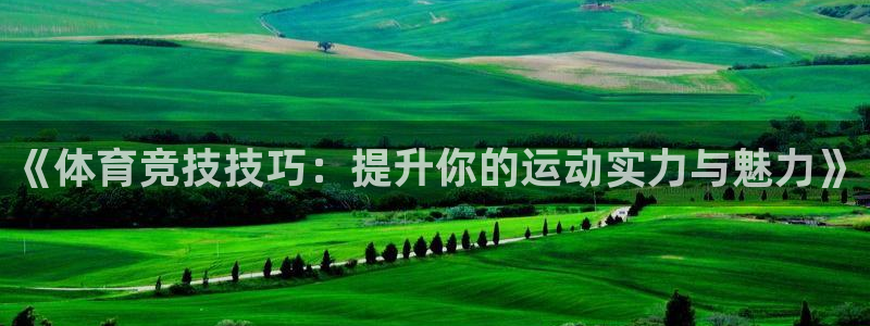 MK体育官方正版app开户：《体育竞技技巧：提升你的