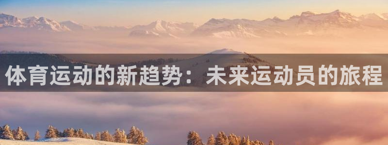 mk体育网页版入口