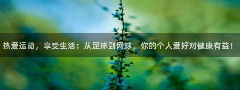 mk体育全站app下载