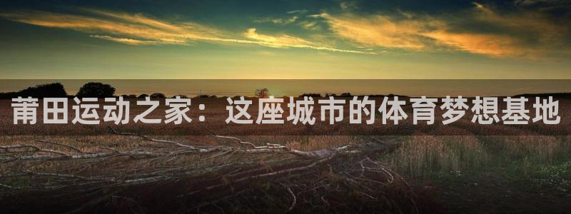 mk体育官网入口网址是多少