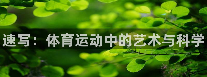 mk体育app官网下载入口：速写：体育运动中的艺术与科学