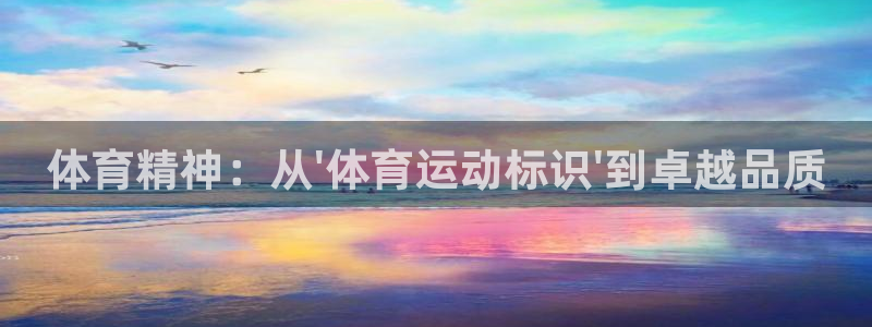  mk体育官网登录入口：体育精神：从\'体育运动标识\'到卓越