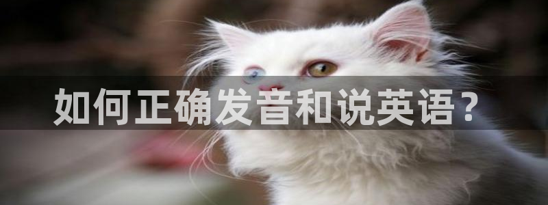 mk体育在线官网首页：如何正确发音和说英语？
