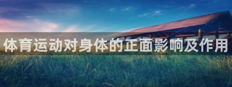 mk体育平台入口手机版安装：体育运动