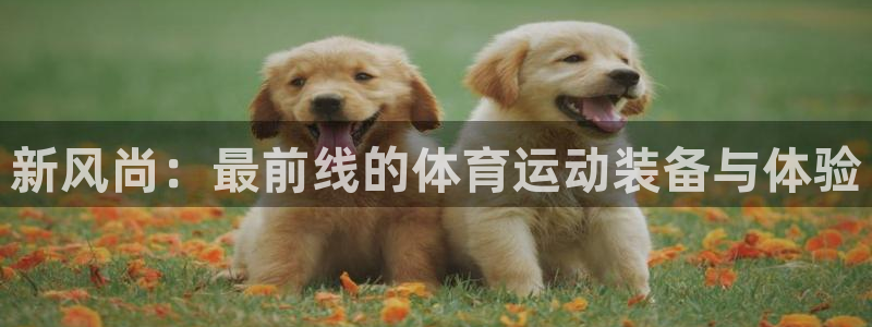  MK体育场：新风尚：最前线的体育运动装备与体验