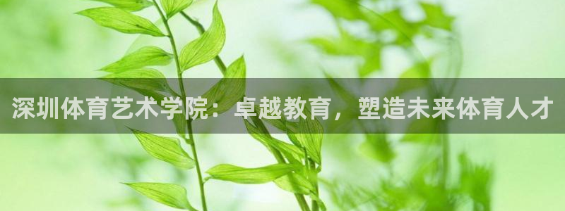 mk体育登录：深圳体育艺术学院：卓越